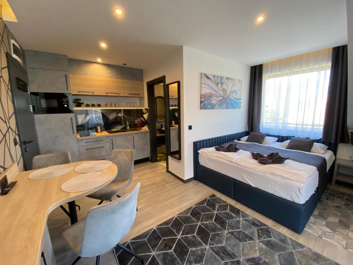 Luxury Apartment